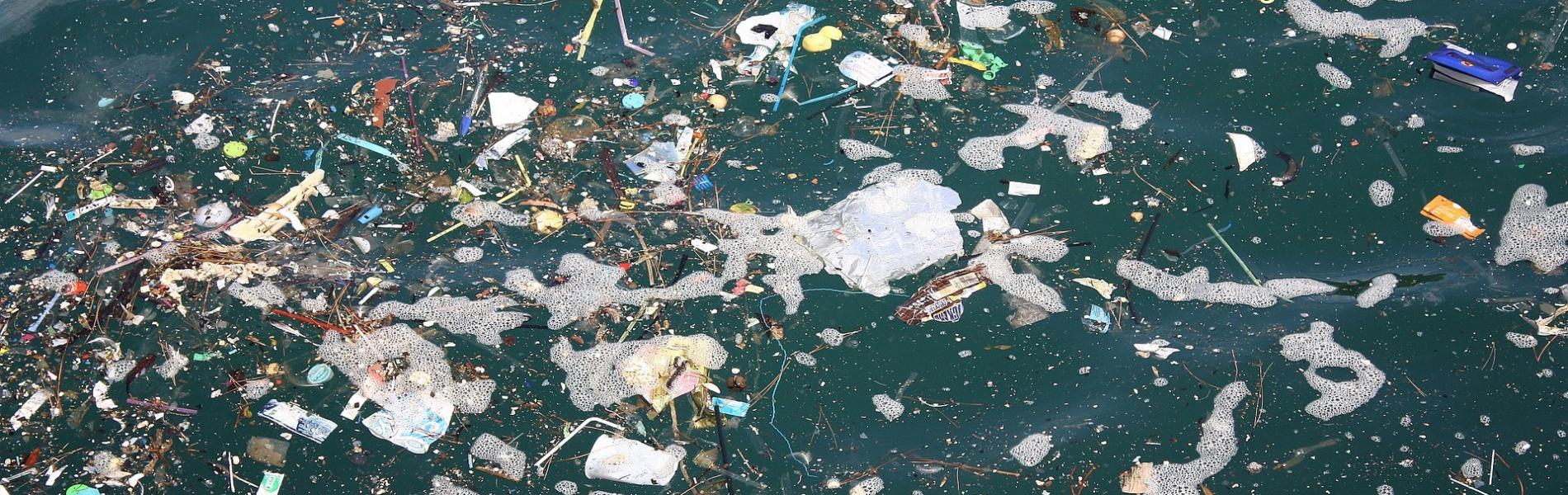 garbage in the water